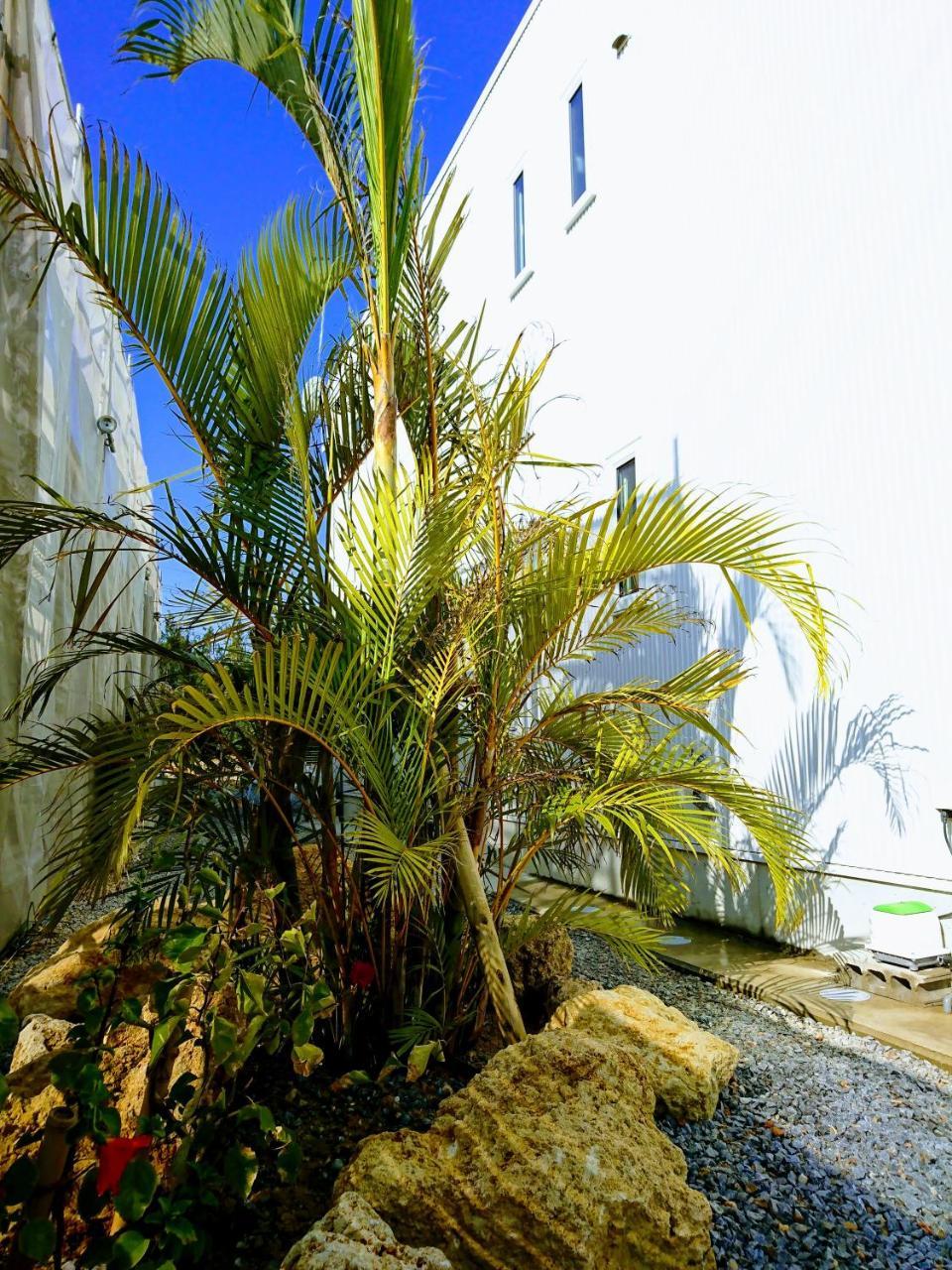 Premium Cottage Comfort Okinawa Onna Dış mekan fotoğraf